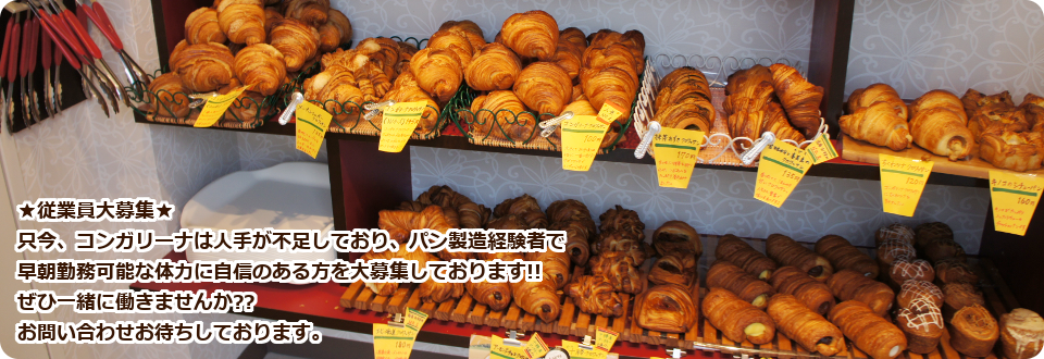 札幌市東区のおいしいパン屋さんコンガリーナ